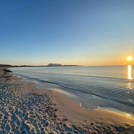 Florian San Teodoro (Sardinia)