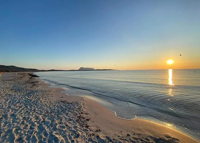 Florian San Teodoro (Sardinia)
